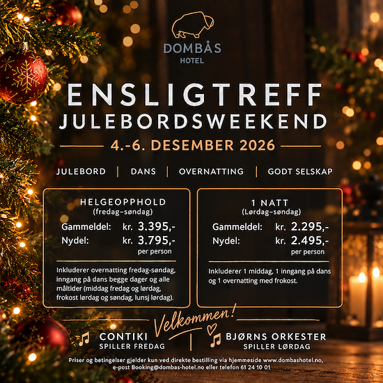 Ensligtreff julebordsweekend-image