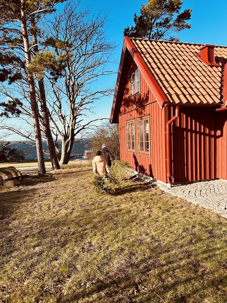 Ytterligare bild 2/12 av Höstlovsmys i Honungsboden