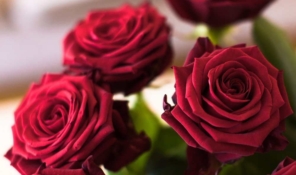 Primary image of Love & Luxury