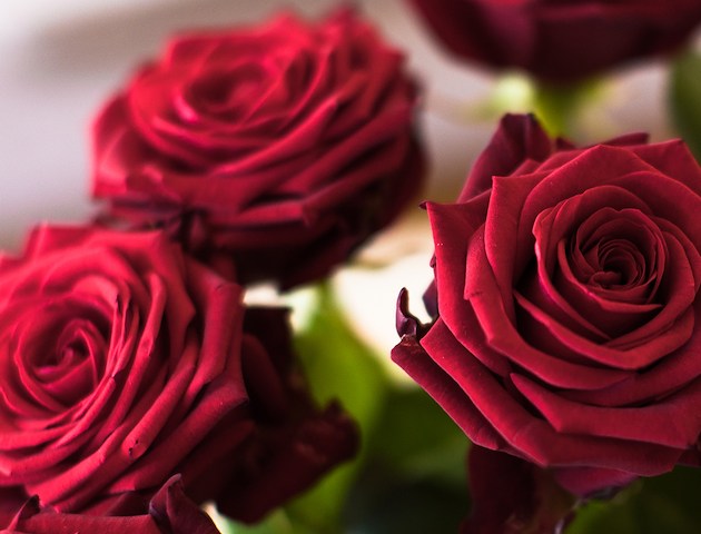 Boka Love & Luxury på Stufvenäs Gästgifveri