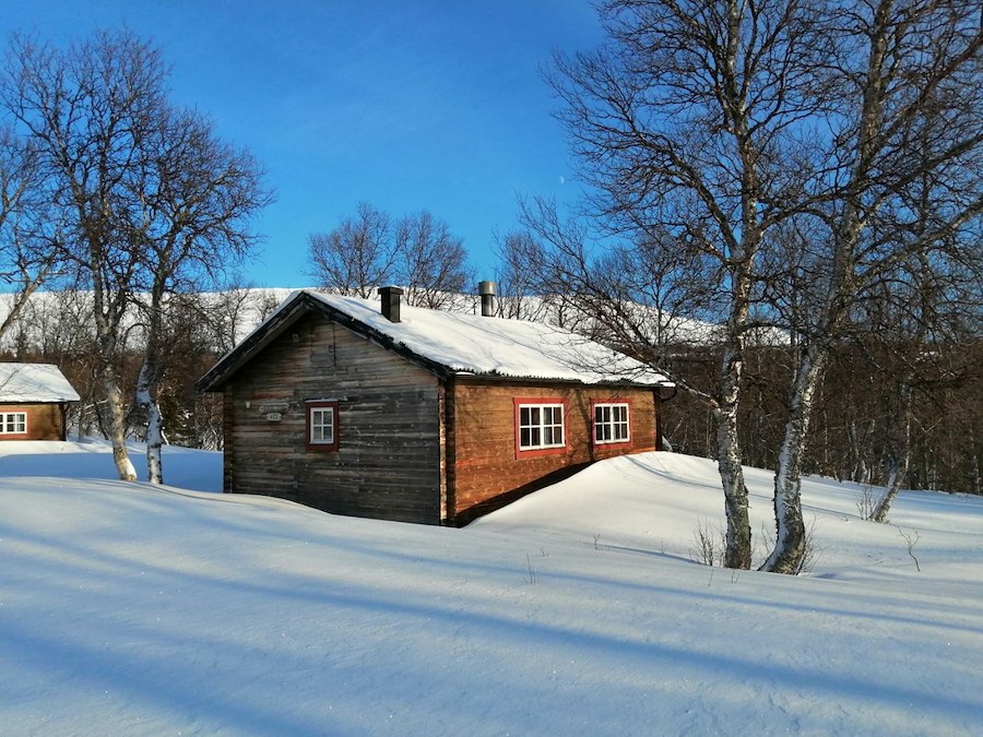 Stuga Vargen (husdjur tillåtna)