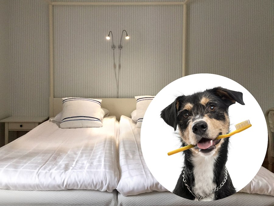 Double Room (Dog Friendly)