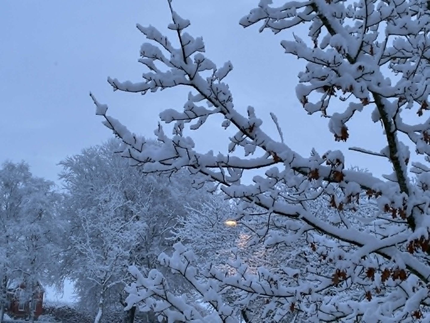 Vinter på Bed and Books