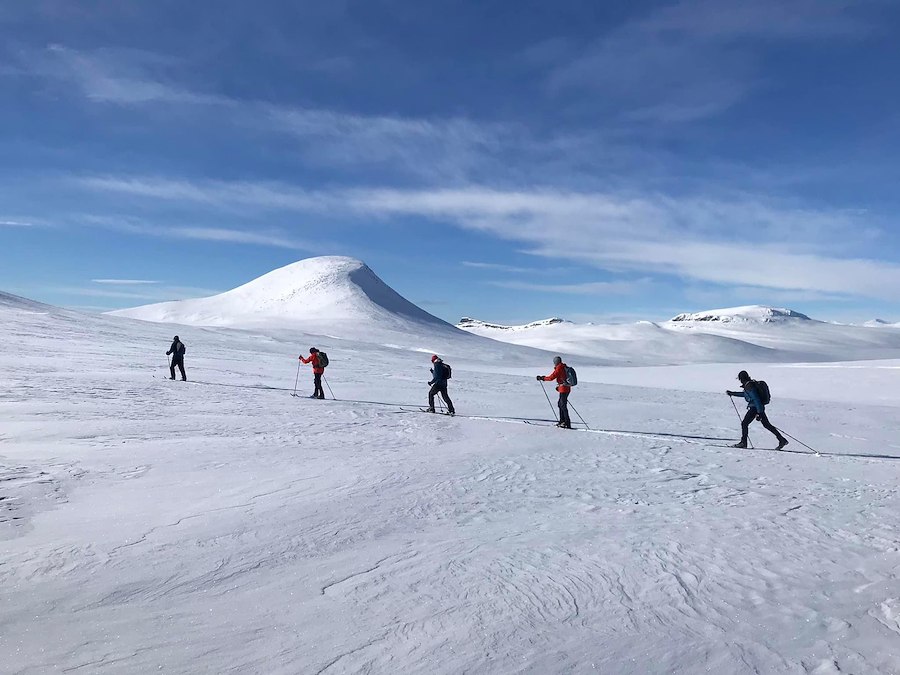 Off Track Ski Safari