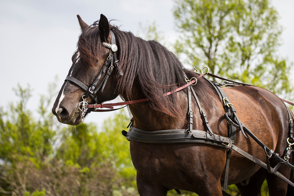 Carousel image 76c87951-8d56-4b46-ba4f-edcc95f41486
