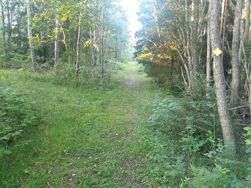 Boka Vandring i historisk skärgårdsmiljö