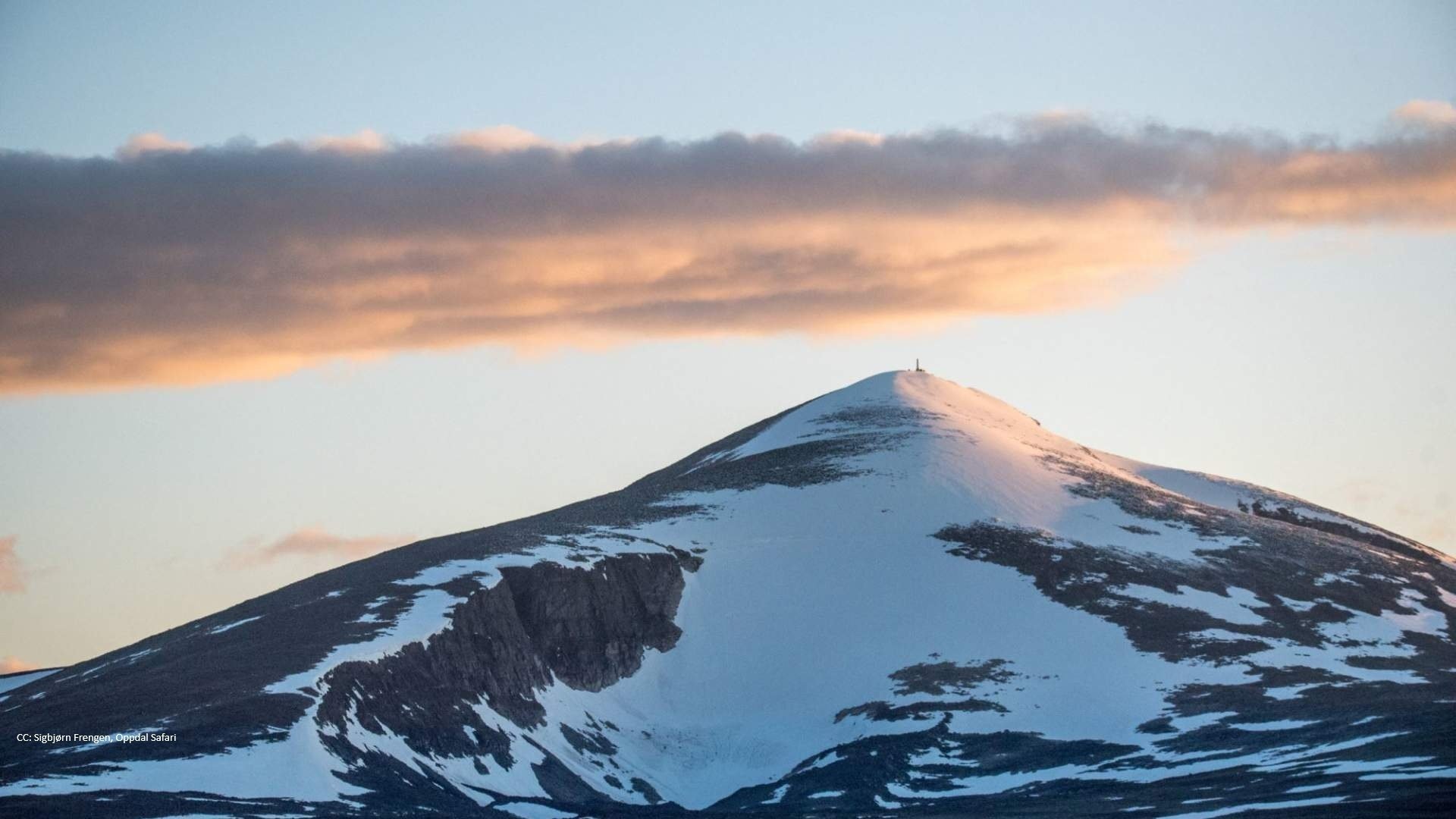 $apiData['content']['article']['title']