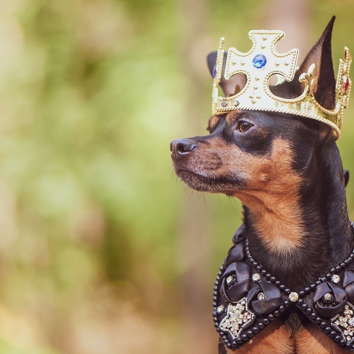 voucher-Best Friend-fika på Rosersbergs Slottshotell