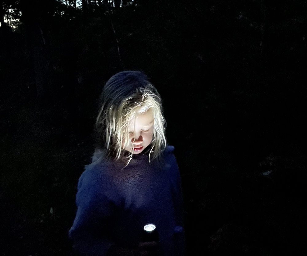 Primärbild av Tillsammans - Familjen på höstäventyr! 