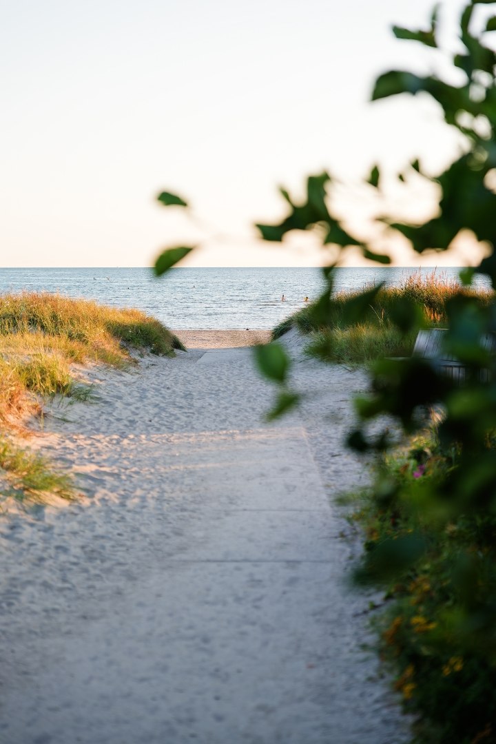 Sind Hunde auf ApelvikStrand erlaubt? photo 3