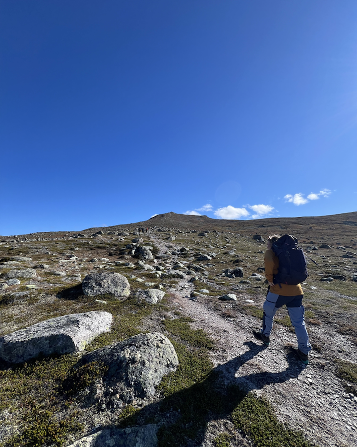 Vigelpiken Summit Hike: Sweden-Norway Border