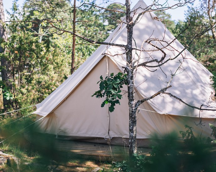 Gezelligheidsregels op de camping-image