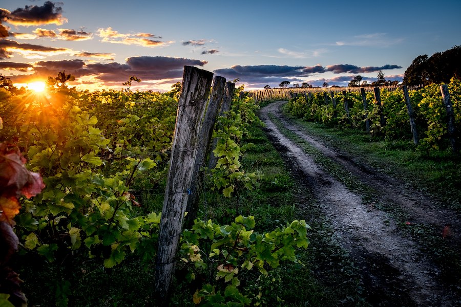Winter wine run