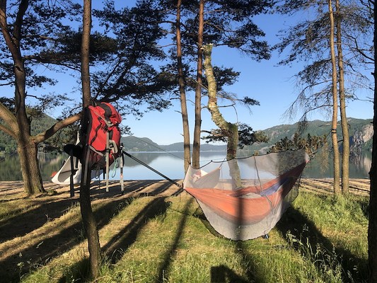Telt i skog 