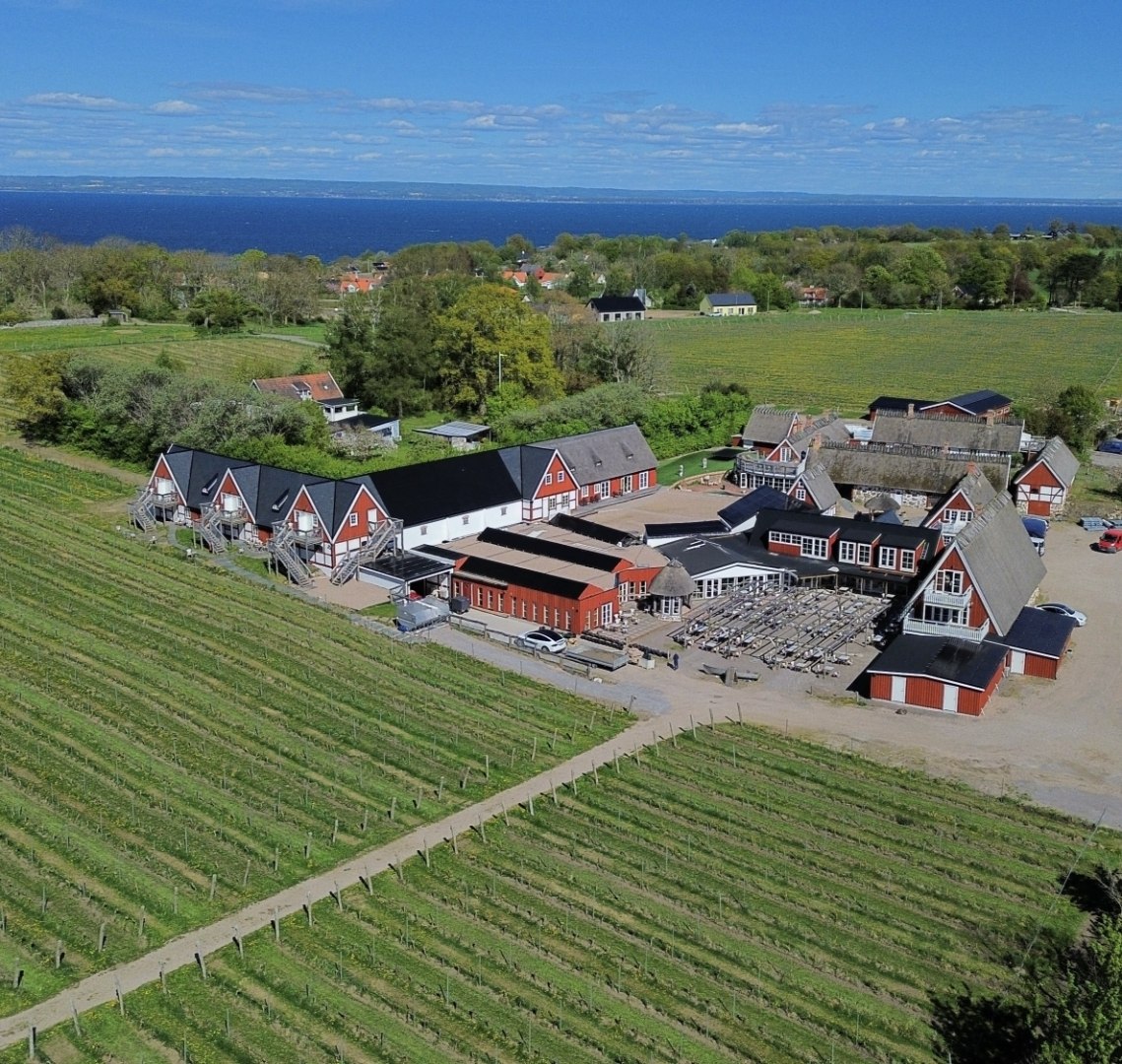 Den lilla vingårdsvisningen