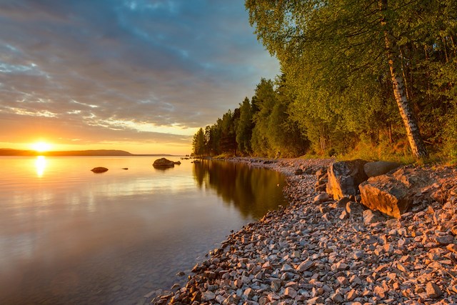 Viltweekend med vinmässa 1 dygn