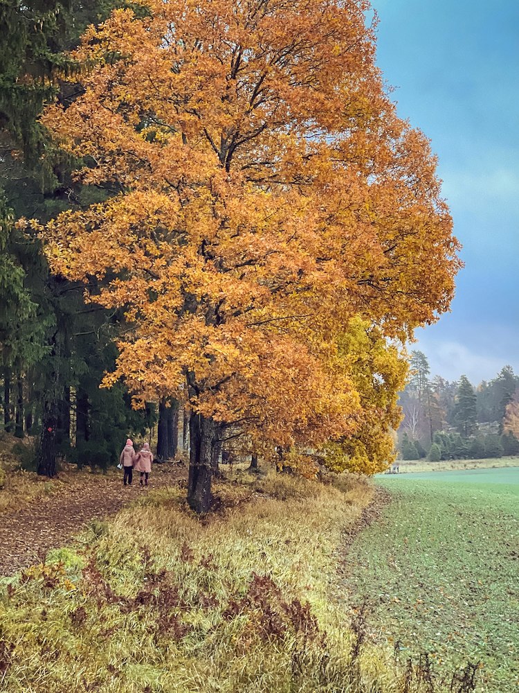 Höstlovsweekend på Sånga 