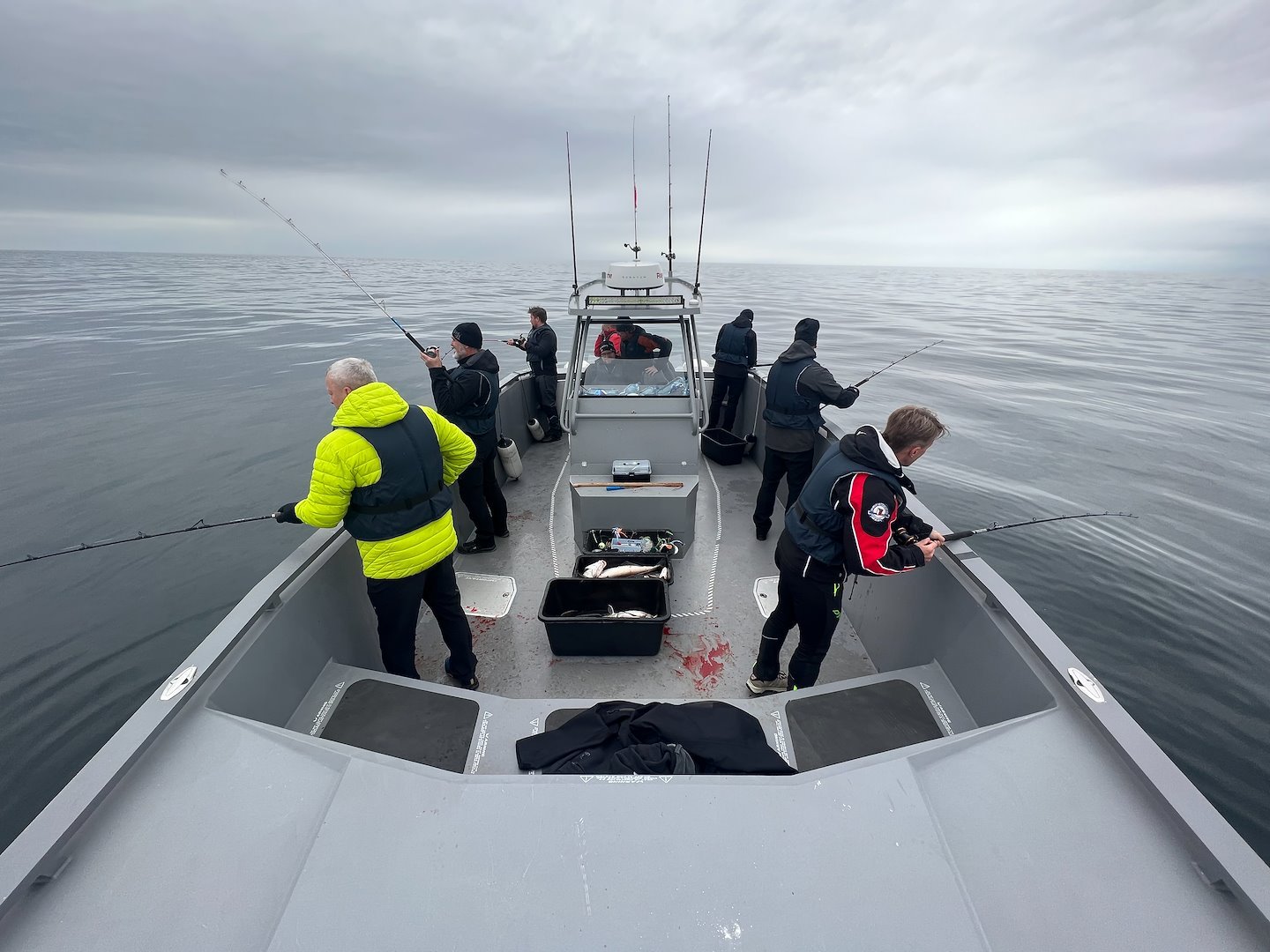 Image of Guidet fisketur 4 timer