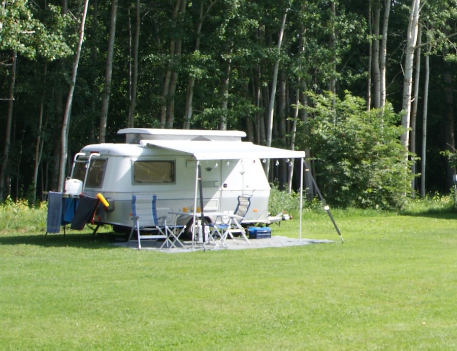 Motorhome pitch incl. electricity – MAX 7 metres