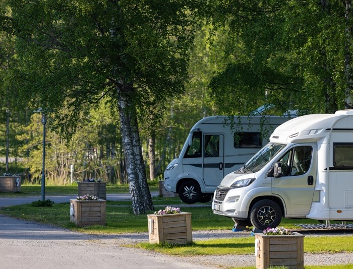Pitch for motorhomes | NB! search availably for 1 guest 