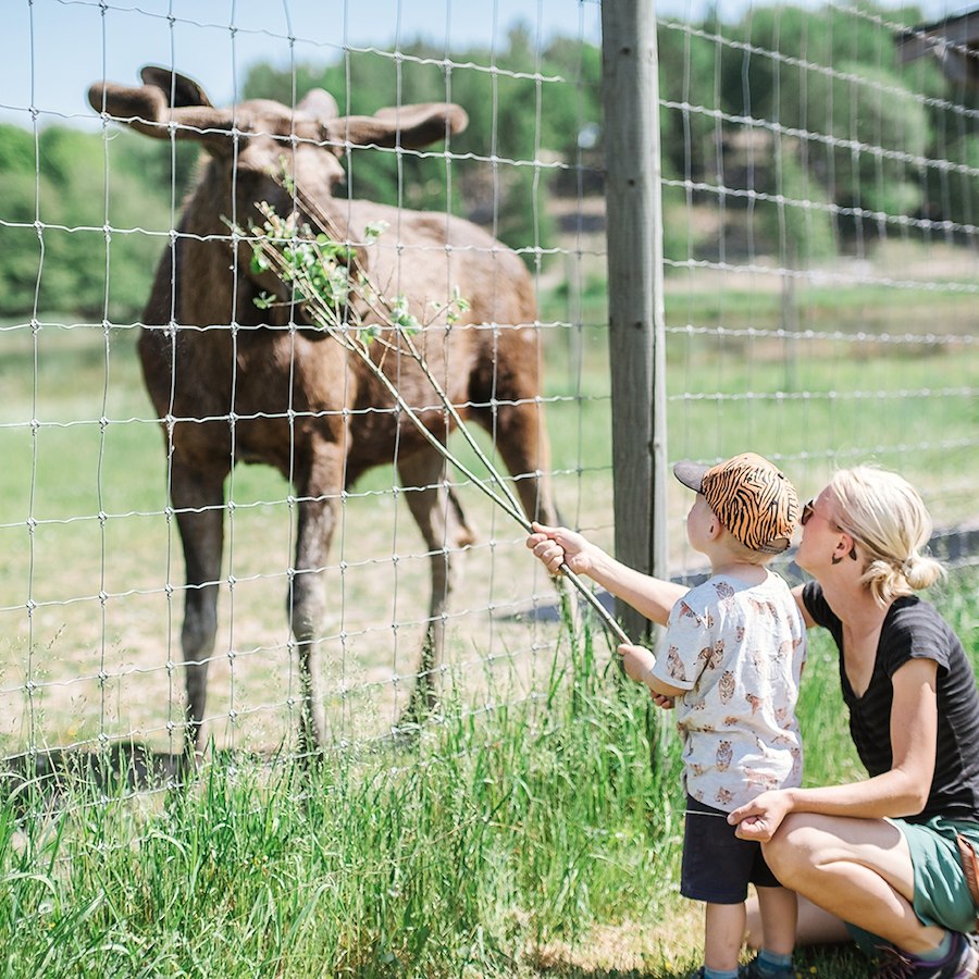 Sommarlovspaket - För hela familjen!