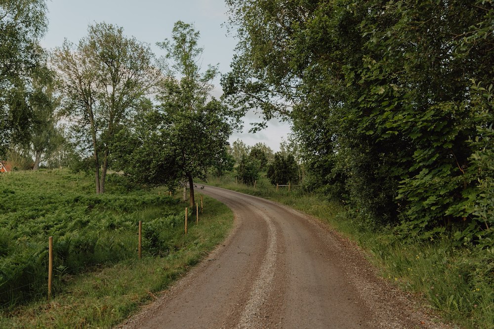 Skogens lugn 