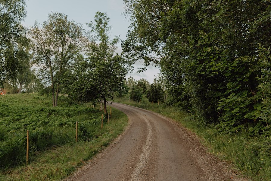 Skogens lugn 