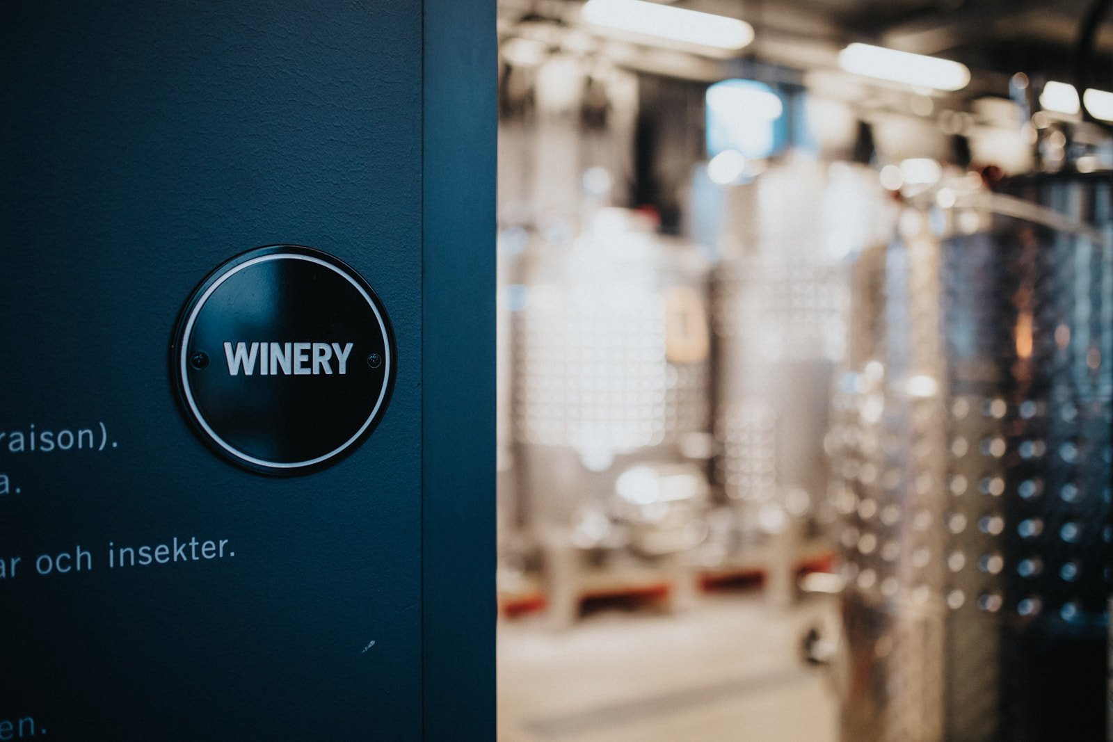 Image of Guidad tur i vineriet 