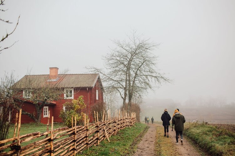 Ytterligare bild 8/19 av Tillsammans - Familjen på höstäventyr! 
