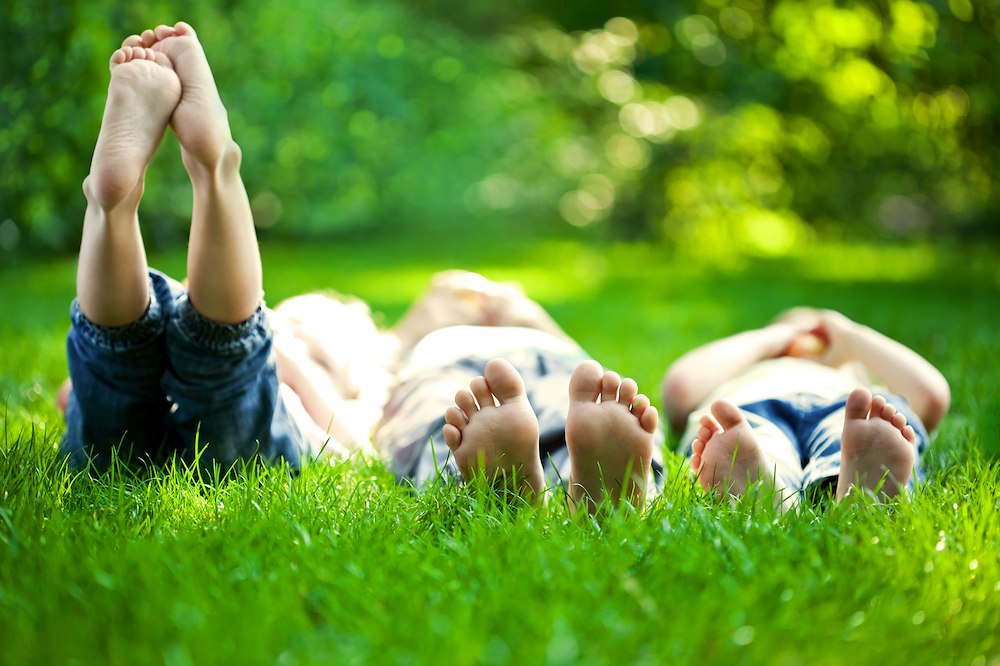 Campingplätze mit Umweltzertifikat group image