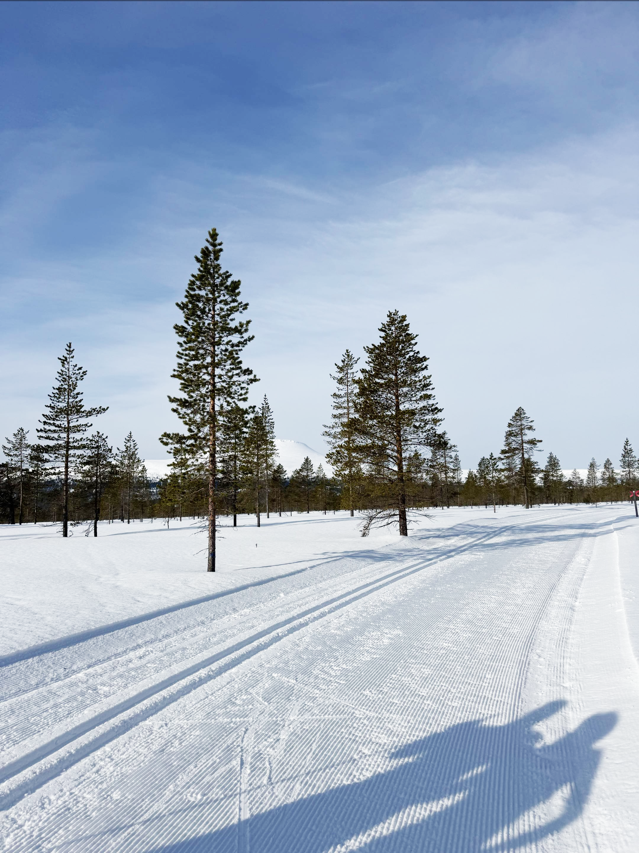 Längdskidåkning-image