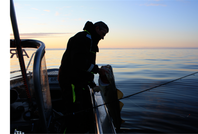 Fiskeferie - 7 netter med båt 