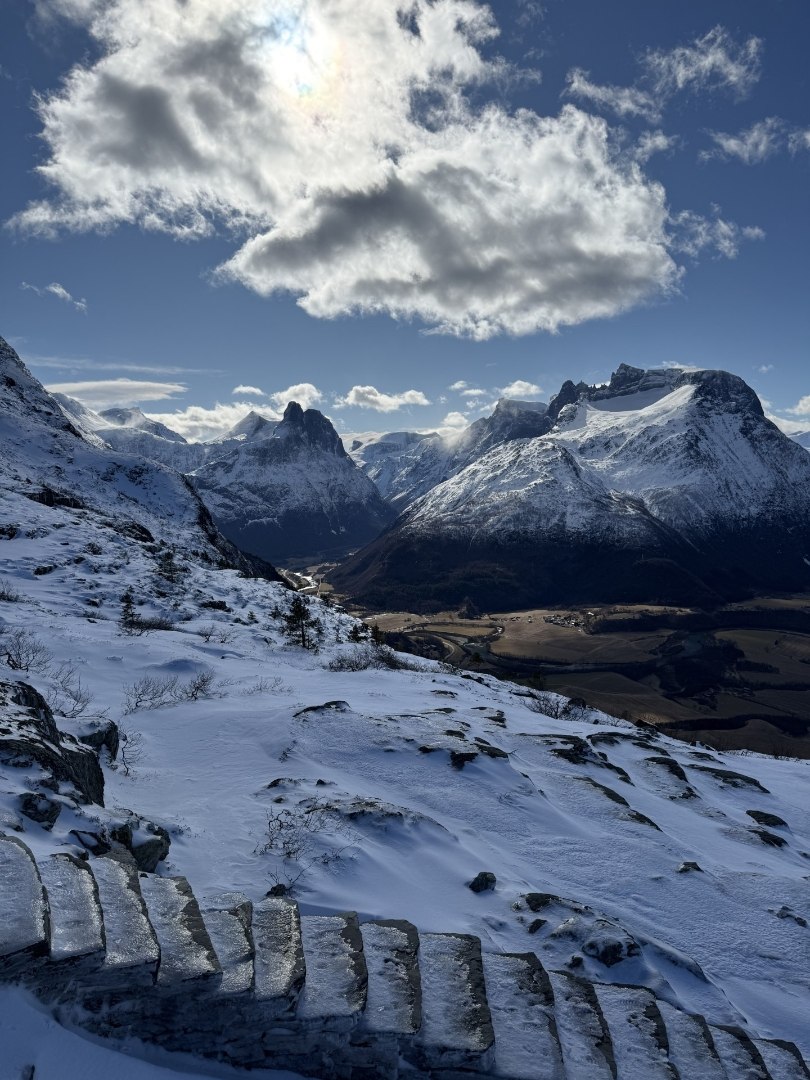 $apiData['content']['article']['title']