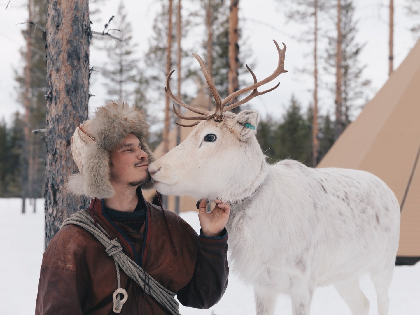 Meet the reindeers 9:15