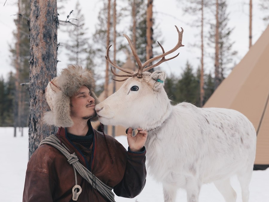 Meet the reindeers 9:15