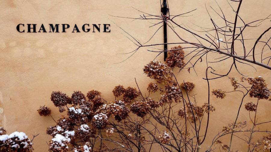 Global Champagne Day med Taittinger 23/10