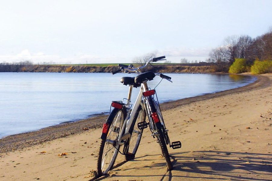 Cykel 2 dagar (Vuxen)