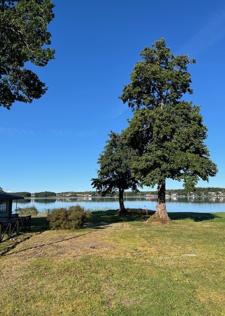 Motorhome pitch, electricity possible, 80 sqm