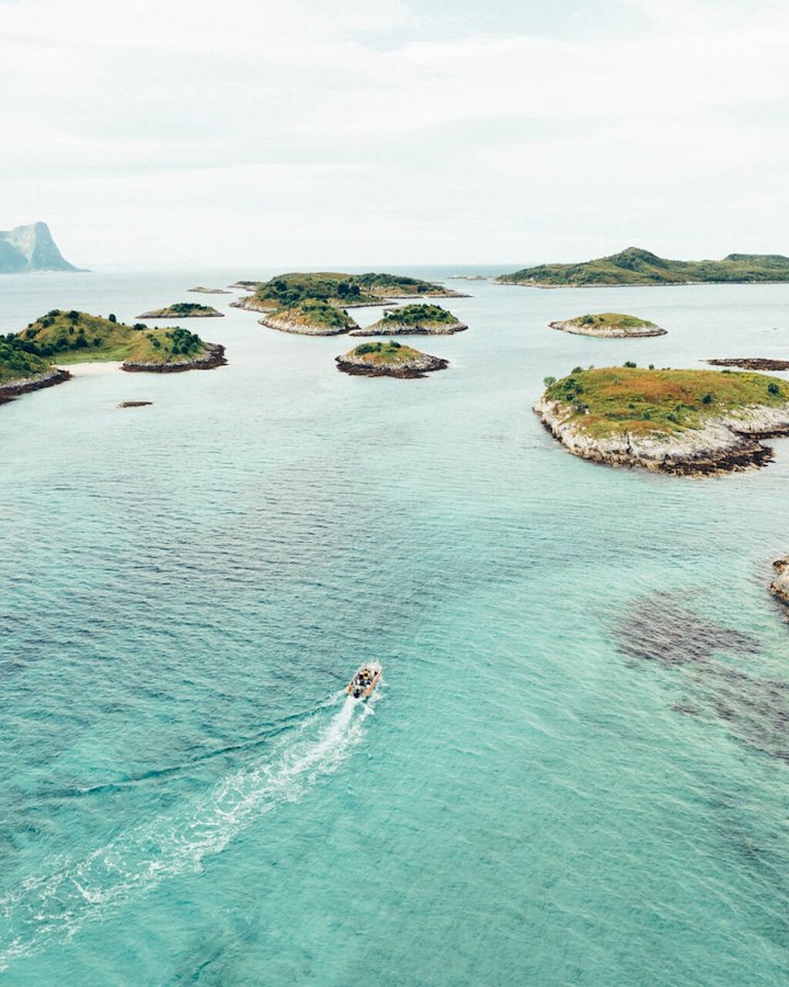 Fjord Wildlife Safari