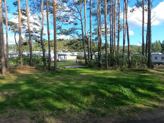 Camping 36