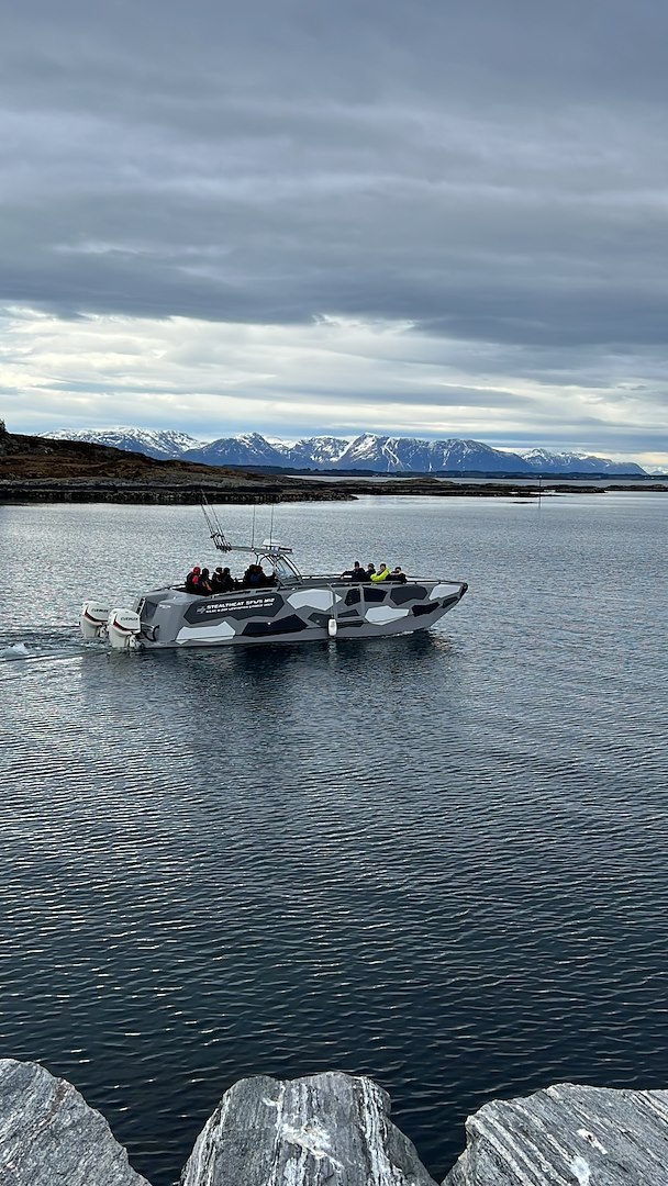 Image of Guidet fisketur 4 timer