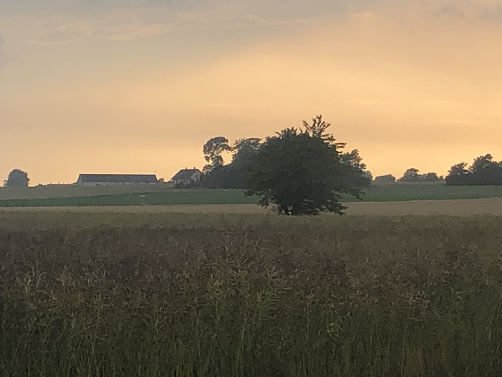 Natur & Vandring-image