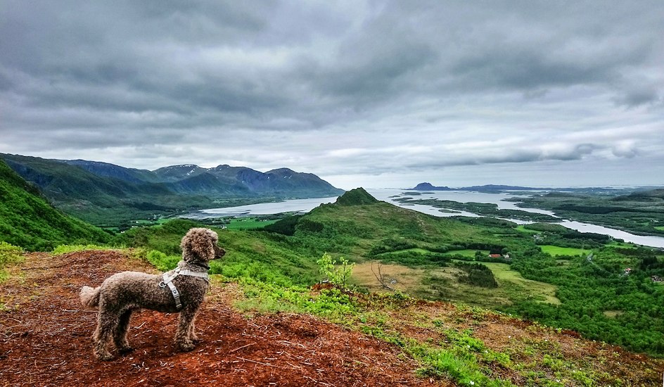 Namdalen – A Whole Region to Discover -image