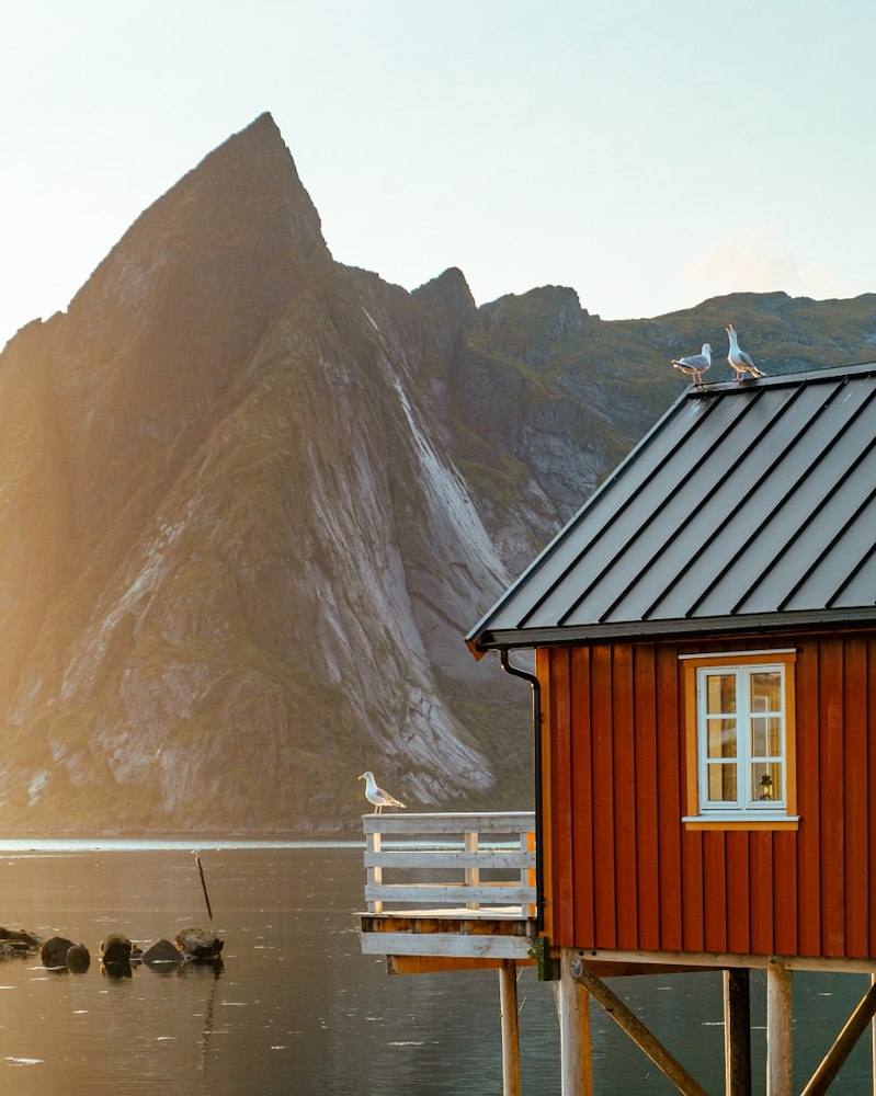 Rorbu med terrasse - tilrettelagt for rullestol