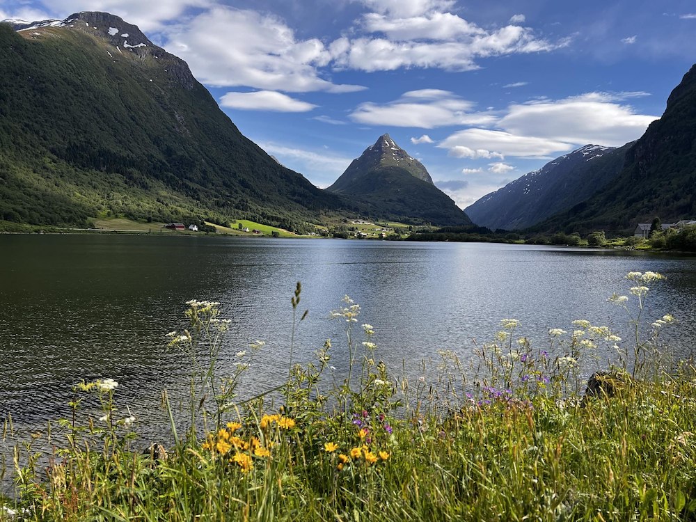 Ekstra bilde 3/10 av HAUSTDAGAR VED FJORDEN