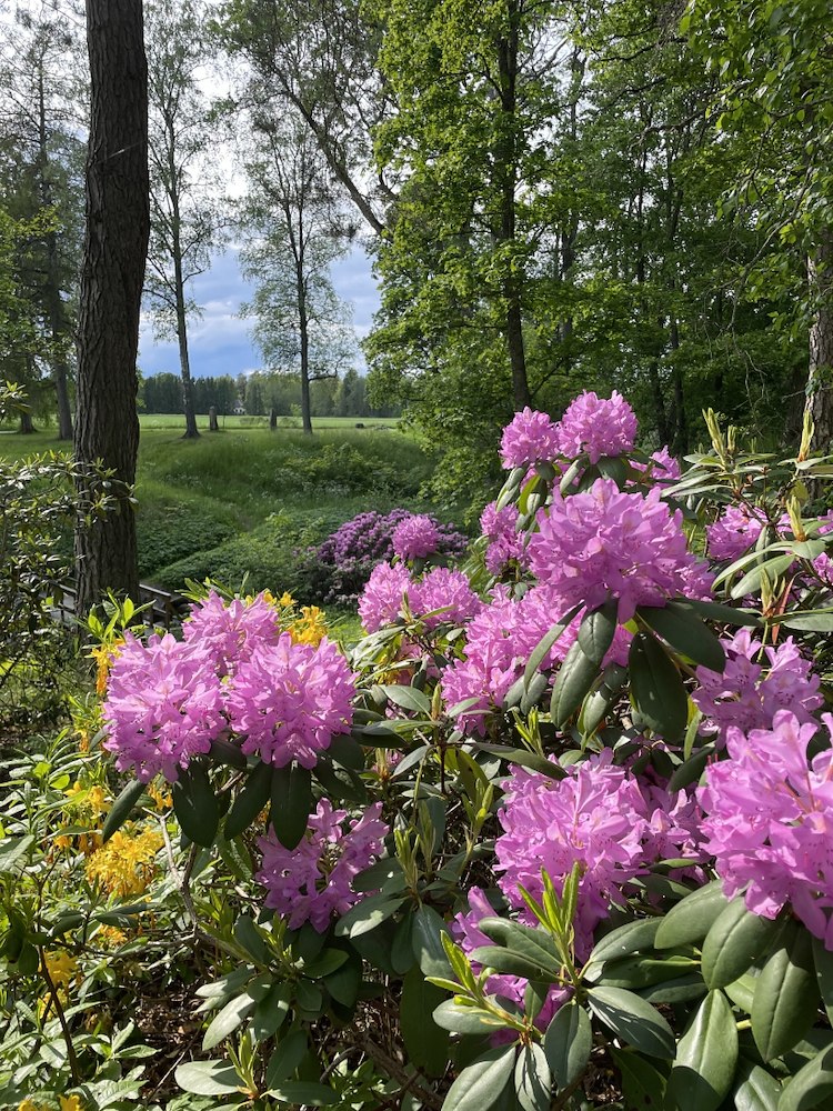 Vårkänslor i Skultuna