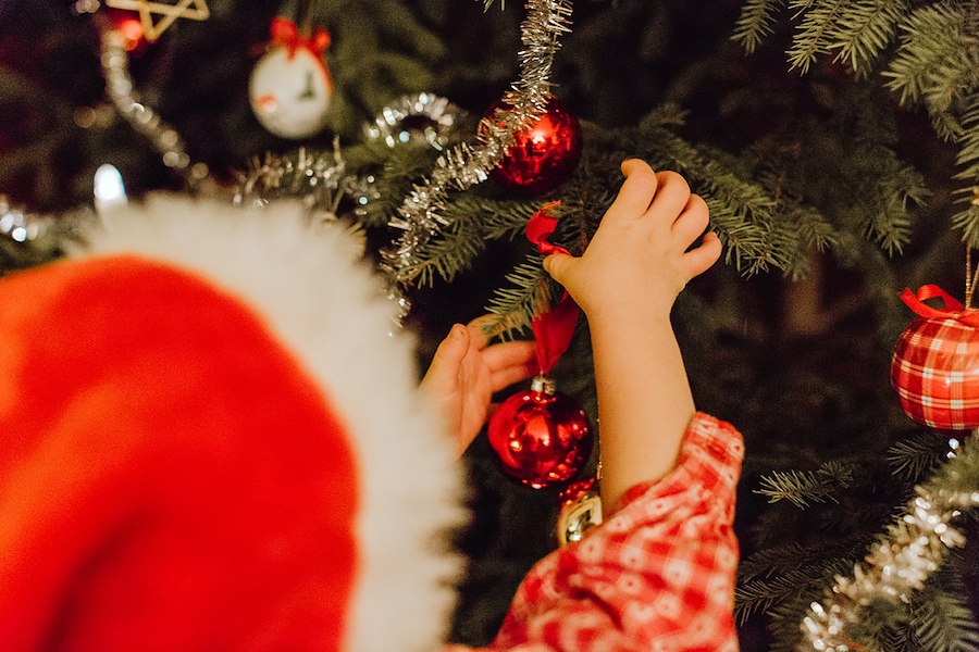 Christmas Dinner - 1 night stay