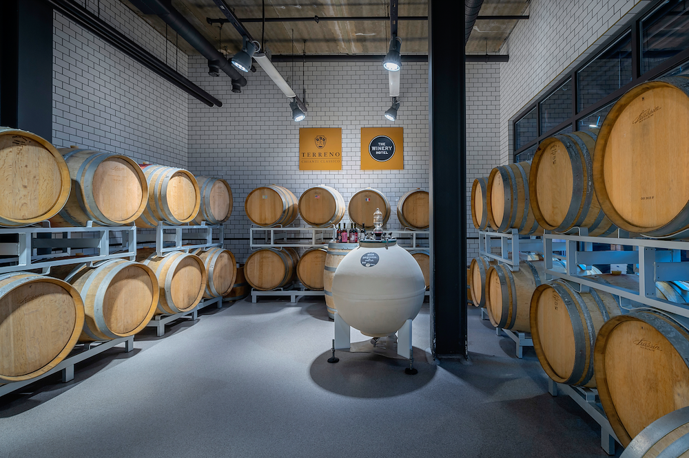 Image of Guidad tur i vineriet 
