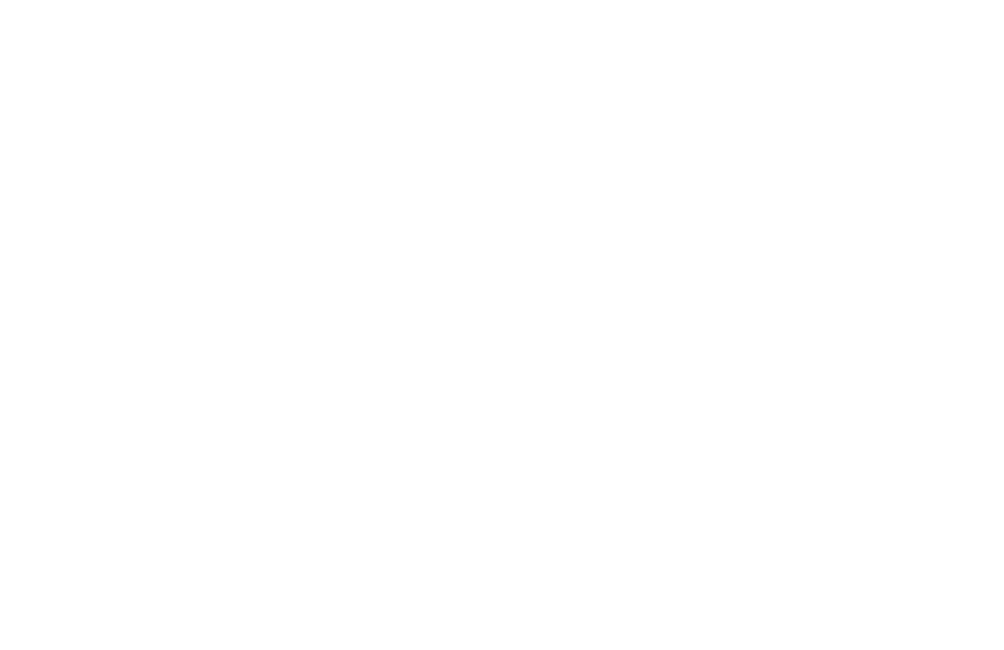 Svingen Guesthouse