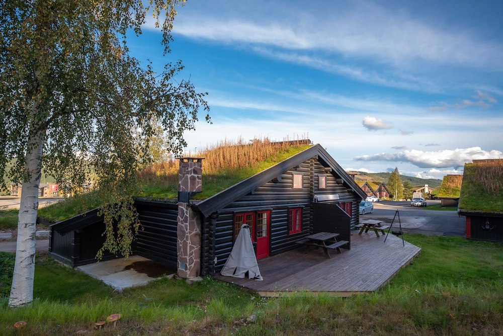 Ekstra bilde 2/28 av Vikinggrenda 21B ****